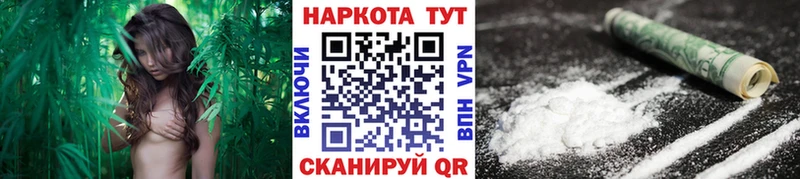 Купить закладку МАРИХУАНА  Меф мяу мяу  Cocaine  Галлюциногенные грибы  Гашиш  Alpha PVP  Кинешма