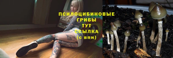 герыч Зеленодольск