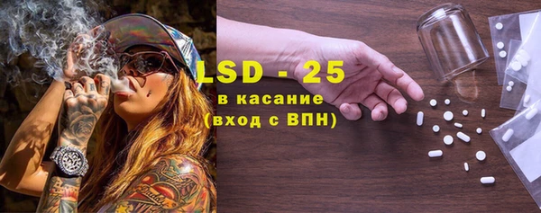сатива Иннополис